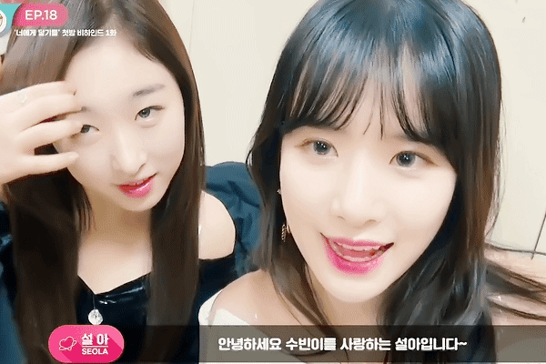 우주소녀 설아 수빈 케미 | 인스티즈