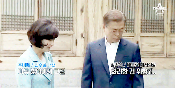 자연과 모든 동식물을 사랑하시는 문재인 대통령 일화 | 인스티즈