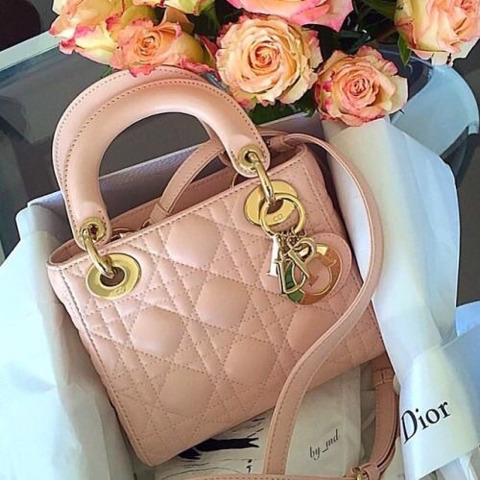 누구나 가슴속에 명품백 하나쯤은 있잖아요? 디올 레이디백 | 인스티즈