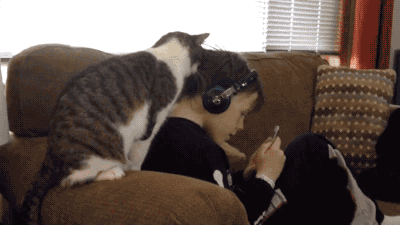 아이에게 부비부비냥.gif | 인스티즈