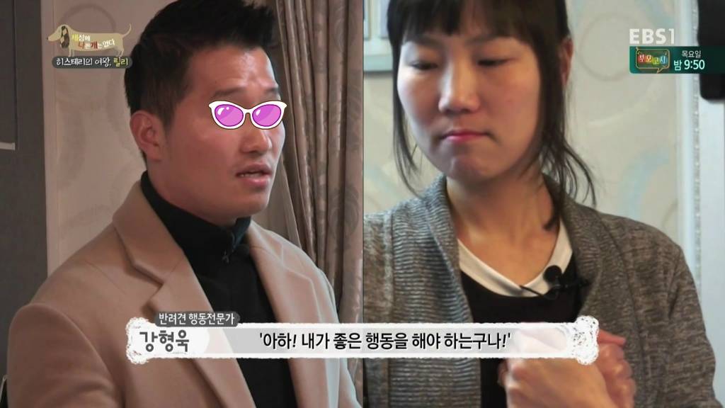 [세상에나쁜개는없다] 가족들에게 짖고 무는 강아지 릴리햏 | 인스티즈