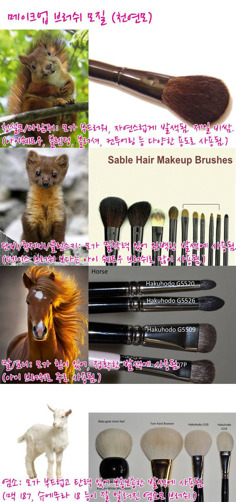 화장하는 여자들중에 이거 생각해본 사람 거의 없음 (부제: 메이크업 브러쉬의 끔찍한 진실...) | 인스티즈