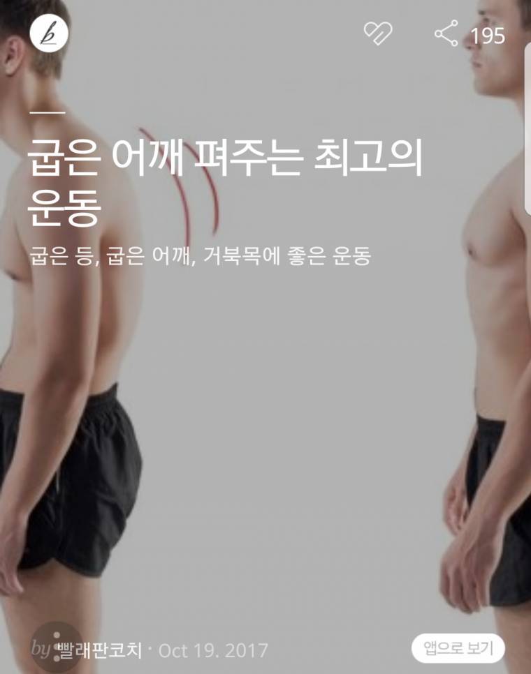 어깨가 좁아보이는 라운드 숄더(굽은 어깨)를 펴주는 최고의 운동.gif | 인스티즈