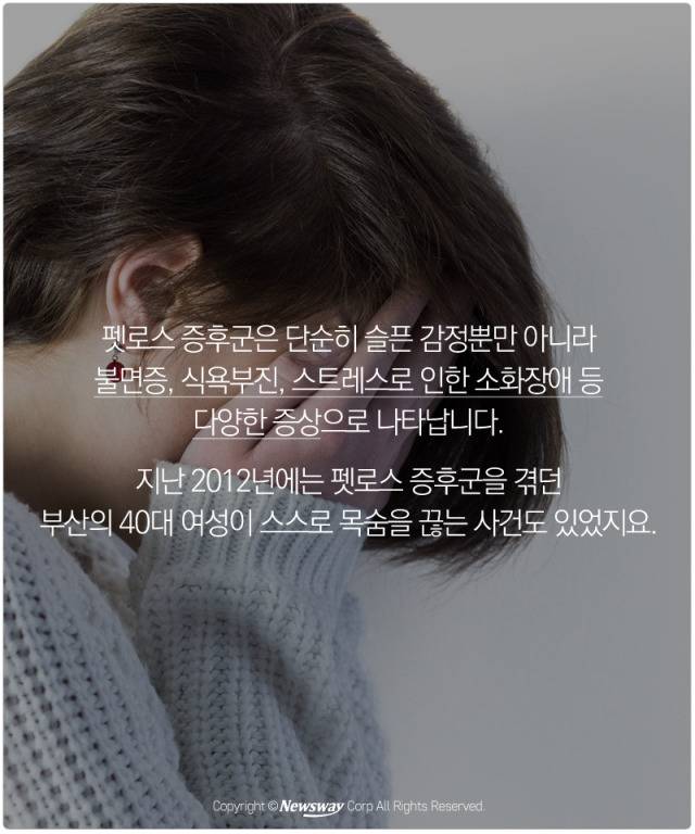 처음 반려동물 만났을때 너무 좋고 예뻐서 전혀 생각하지 못하는 것.jpg | 인스티즈