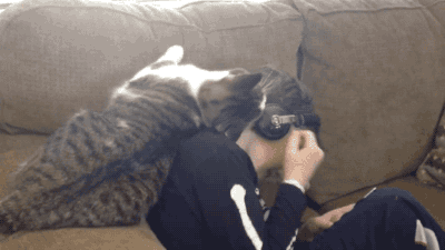 아이에게 부비부비냥.gif | 인스티즈
