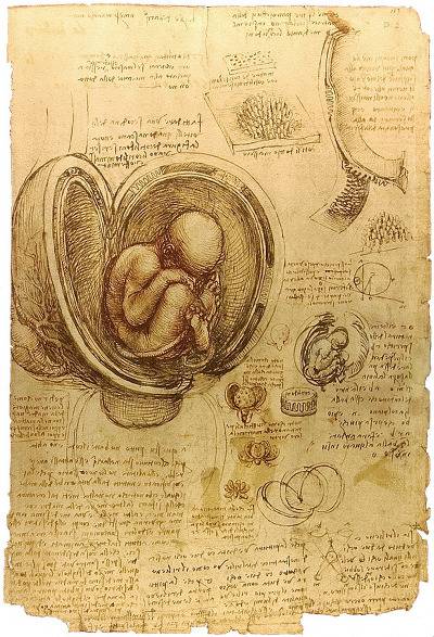 레오나르도 다빈치의 노트필기 | 인스티즈