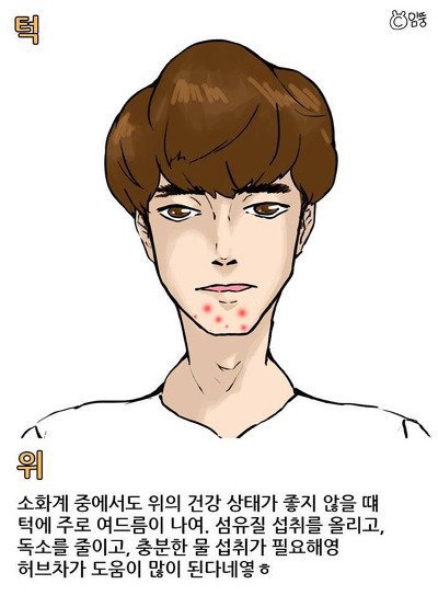 여드름 위치에 따른 건강상태 | 인스티즈