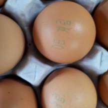 사진으로 보는 2017년 정리.jpg | 인스티즈