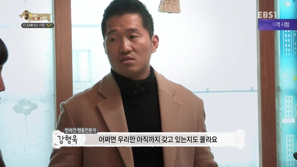 [세상에나쁜개는없다] 가족들에게 짖고 무는 강아지 릴리햏 | 인스티즈