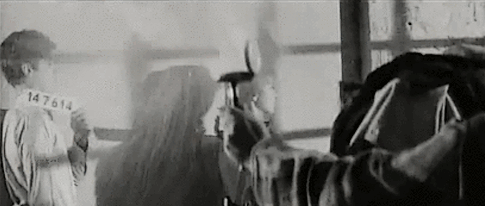 알랭 드롱 . 역대 아내와 애인들 .JPG | 인스티즈