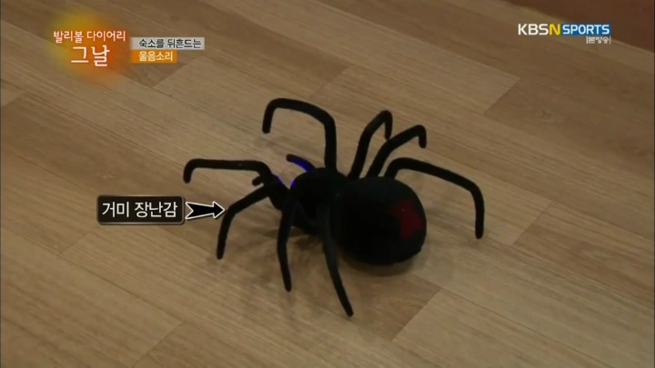 공포의 장난감.jpg | 인스티즈