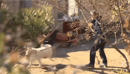 자연과 모든 동식물을 사랑하시는 문재인 대통령 일화 | 인스티즈