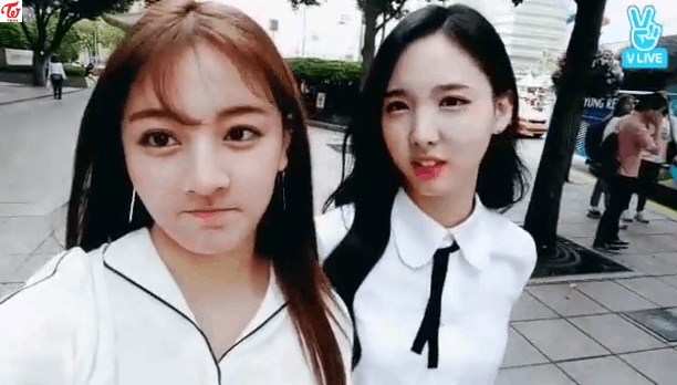 [트와이스] 모닝 V앱 나연쓰 움짤 | 인스티즈