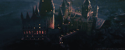 [고르기] 현실세계로 부터 도피하고 싶어하던 게녀에게 멈뭄이가 찾아왔다 | 인스티즈