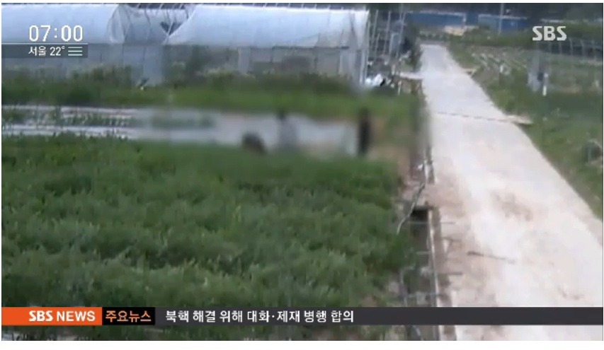 "고기 구워 먹으려 당근 서리"…알고 보니 1억원짜리 연구용 | 인스티즈