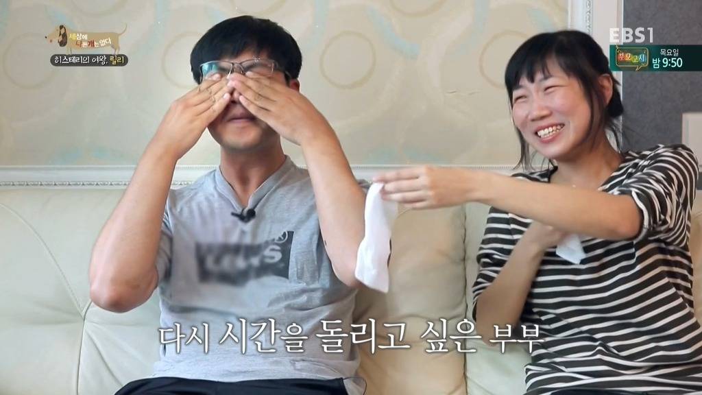 [세상에나쁜개는없다] 가족들에게 짖고 무는 강아지 릴리햏 | 인스티즈