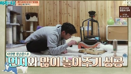 [마리와나] 뚱보냥 호동이 다이어트 시키기 (feat.먼지) | 인스티즈