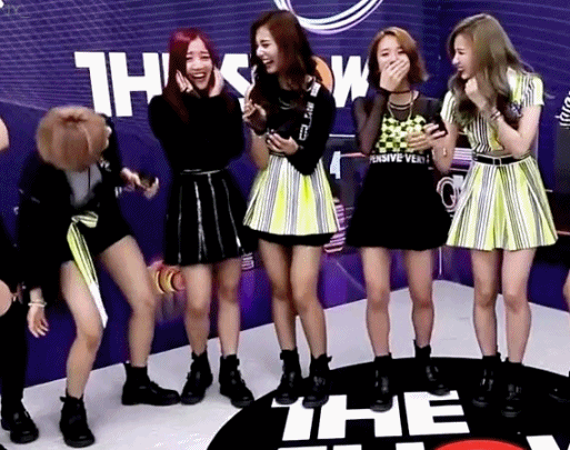 트와이스 사나 정연.gif | 인스티즈