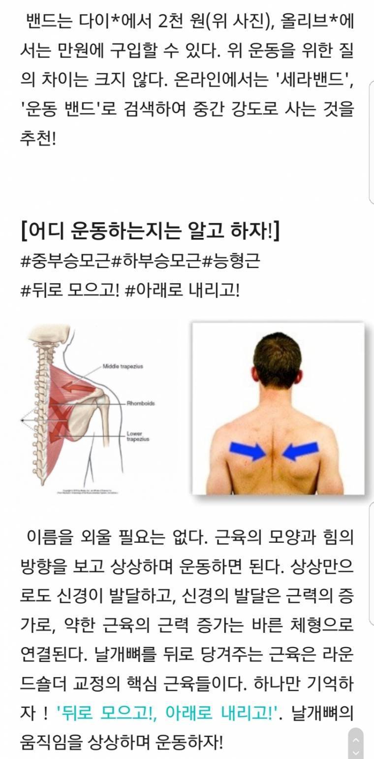 어깨가 좁아보이는 라운드 숄더(굽은 어깨)를 펴주는 최고의 운동.gif | 인스티즈