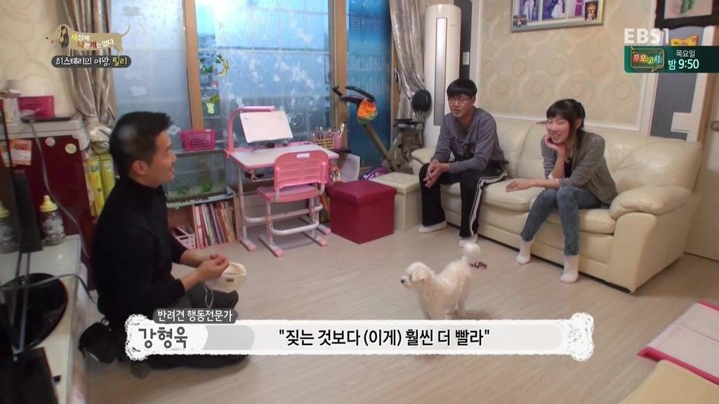 [세상에나쁜개는없다] 가족들에게 짖고 무는 강아지 릴리햏 | 인스티즈