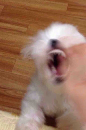 은근 섭섭하고 짜증나고 꽁기한 상황 | 인스티즈