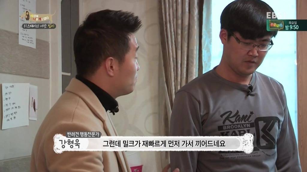 [세상에나쁜개는없다] 가족들에게 짖고 무는 강아지 릴리햏 | 인스티즈