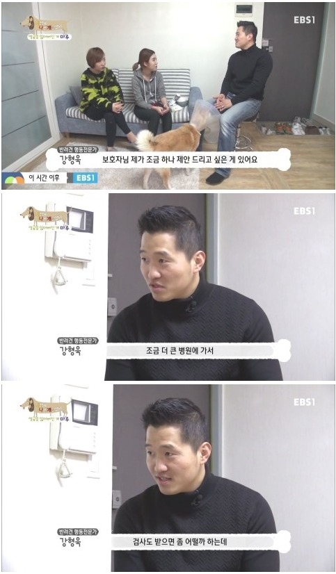 [세상에나쁜개는없다] 애견훈련소 갔다가 얼굴을 잃어버린 마루 (감동이쟈나ㅠㅠ) | 인스티즈