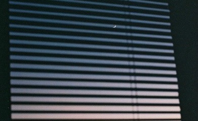 아이돌이 작사한 인상깊은 가사들 | 인스티즈