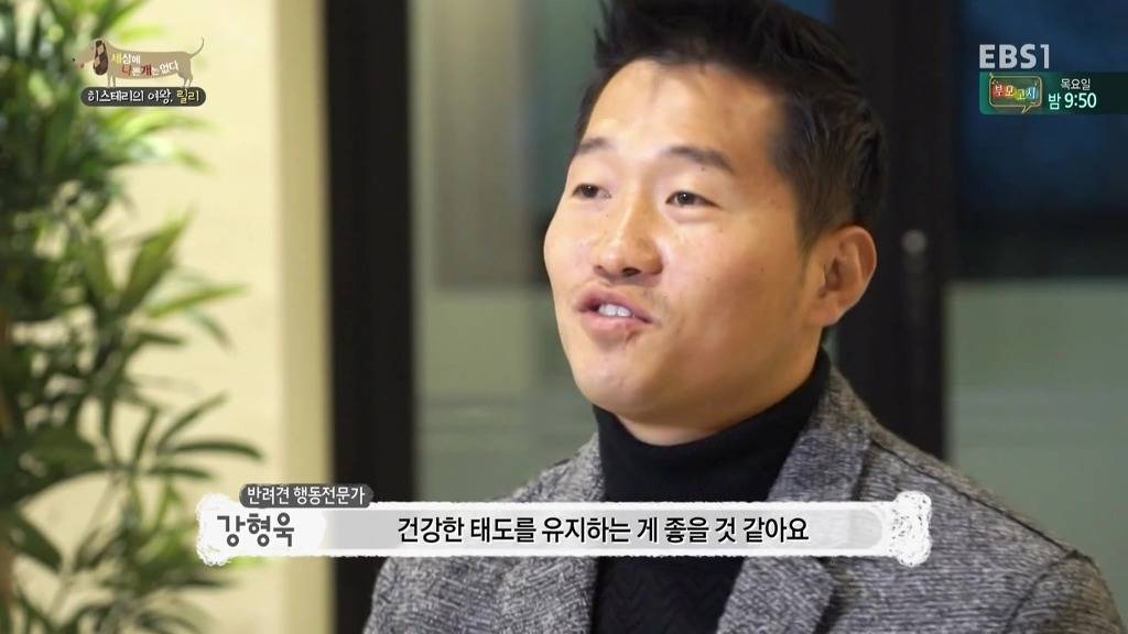 [세상에나쁜개는없다] 가족들에게 짖고 무는 강아지 릴리햏 | 인스티즈