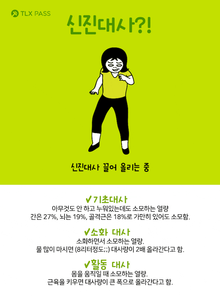 [다이어트일러스트] 살 안찌는 체질 만들기! 기초대사량 높이는 운동 5가지 | 인스티즈