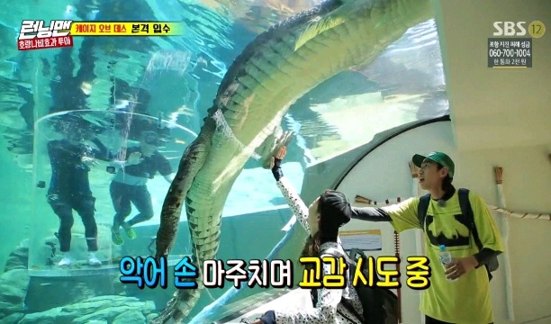 악어가 실례하는 장면을 목격한 전소민&이광수 | 인스티즈
