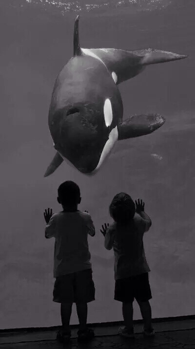 블랙성애자의 스마트폰 배경화면 모음 | 인스티즈