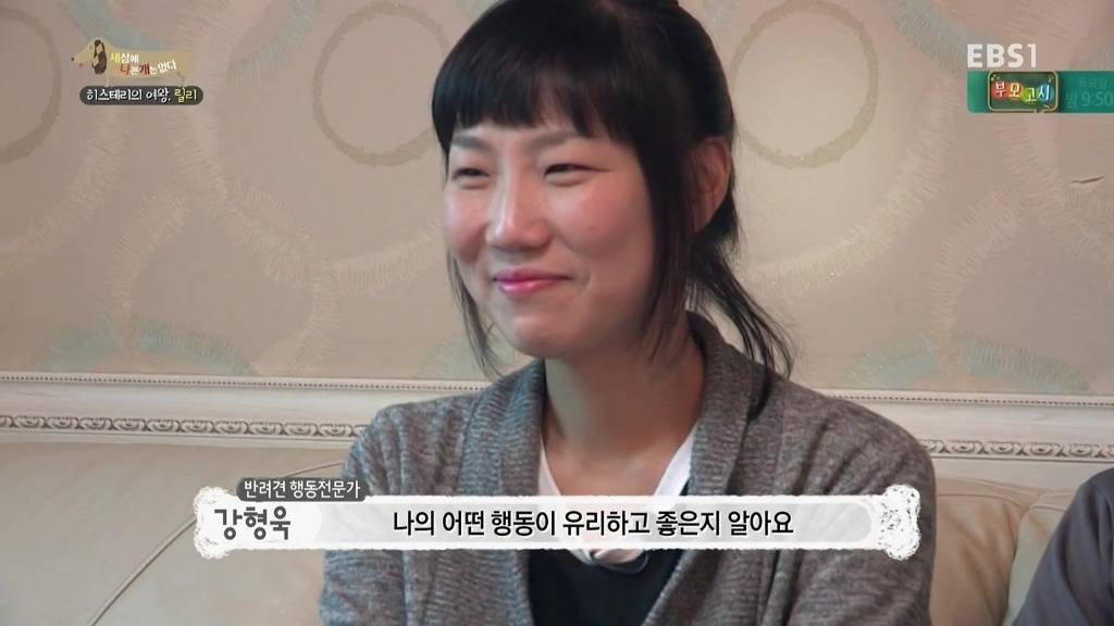 [세상에나쁜개는없다] 가족들에게 짖고 무는 강아지 릴리햏 | 인스티즈