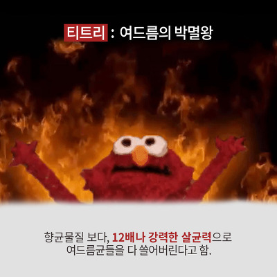 엘모가 말하는 여드름 박멸하는 4가지 방법 (심장어택주의) | 인스티즈