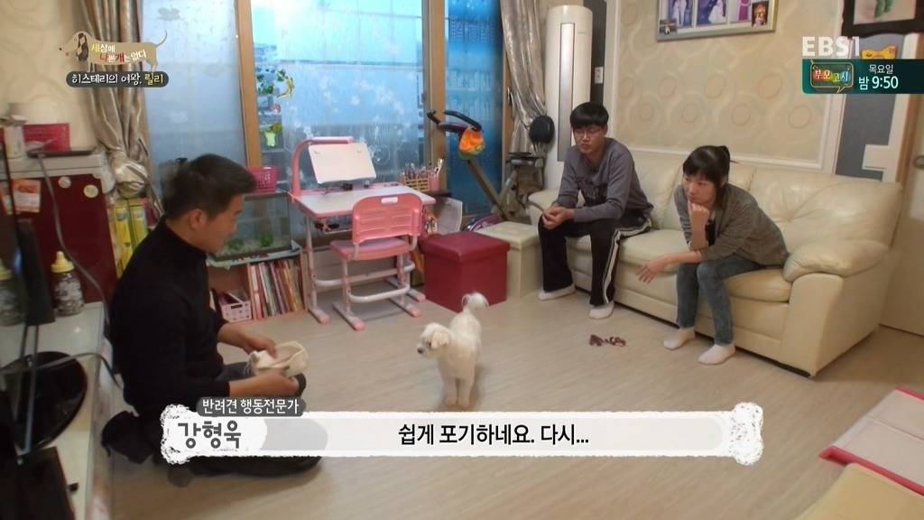 [세상에나쁜개는없다] 가족들에게 짖고 무는 강아지 릴리햏 | 인스티즈