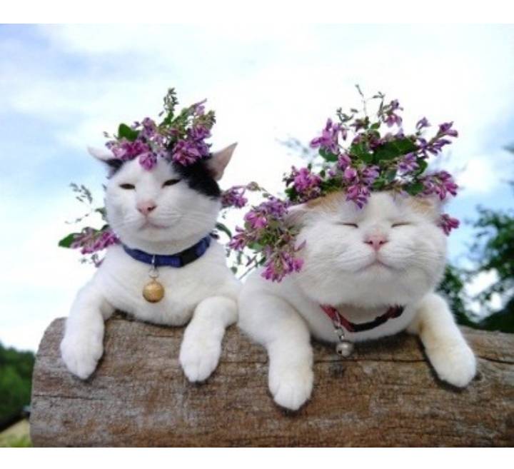 패닝맘이 누군지 찾아보았다 | 인스티즈