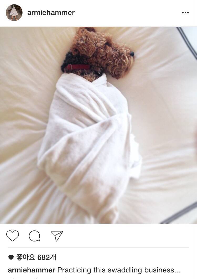 사랑꾼 갓양남 핸섬리치톨 아미해머의 가족 자랑 | 인스티즈