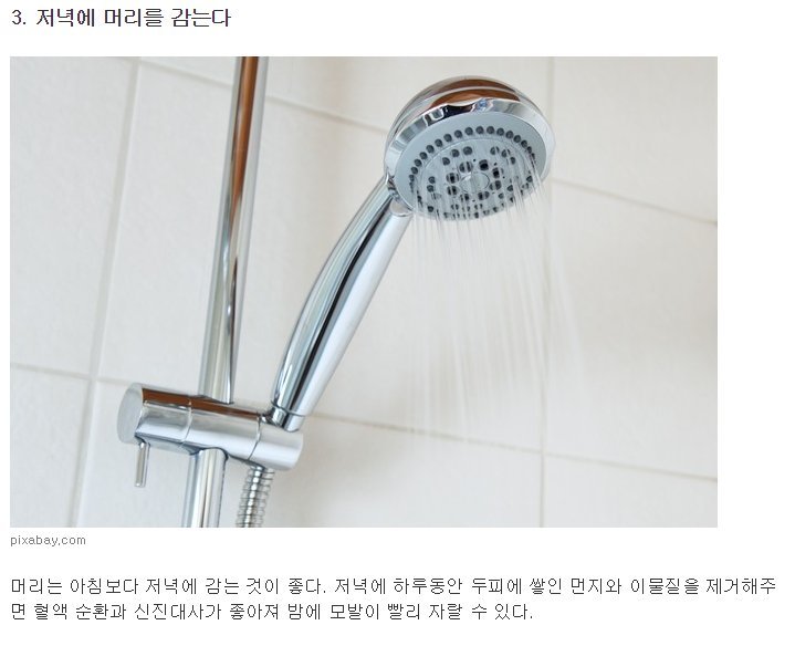 머리 빨리 기르는법 8가지 | 인스티즈