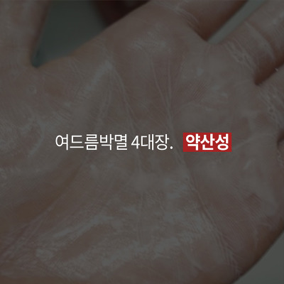 엘모가 말하는 여드름 박멸하는 4가지 방법 (심장어택주의) | 인스티즈