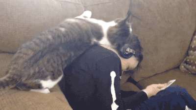 아이에게 부비부비냥.gif | 인스티즈