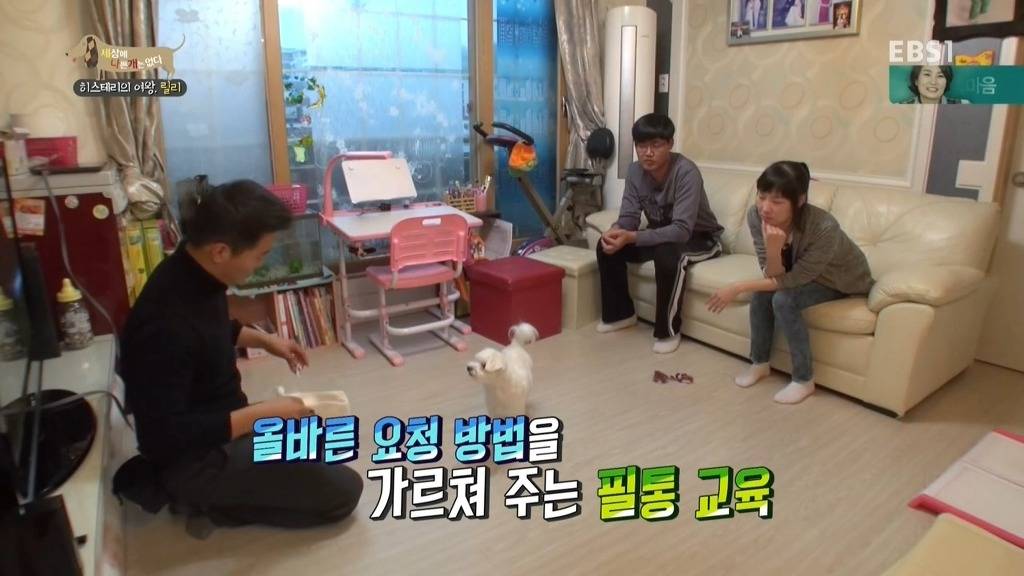 [세상에나쁜개는없다] 가족들에게 짖고 무는 강아지 릴리햏 | 인스티즈