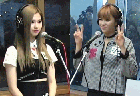 트와이스 사나 정연.gif | 인스티즈