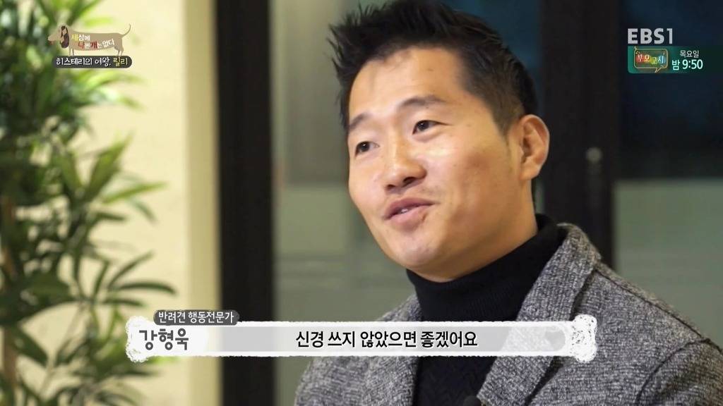 [세상에나쁜개는없다] 가족들에게 짖고 무는 강아지 릴리햏 | 인스티즈