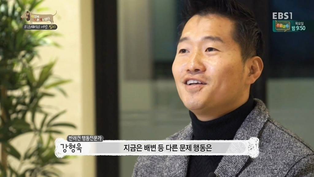 [세상에나쁜개는없다] 가족들에게 짖고 무는 강아지 릴리햏 | 인스티즈