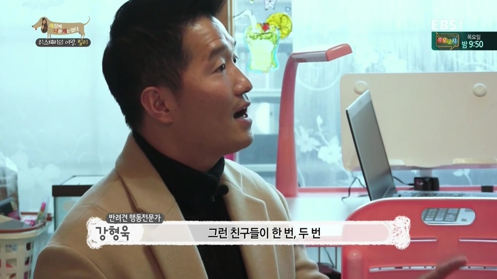 [세상에나쁜개는없다] 가족들에게 짖고 무는 강아지 릴리햏 | 인스티즈