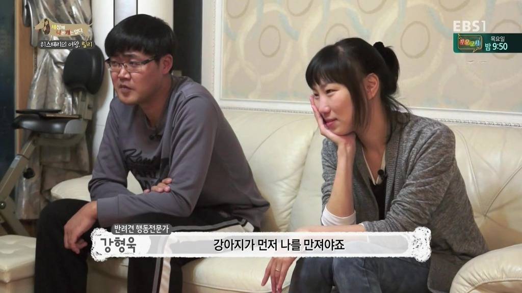 [세상에나쁜개는없다] 가족들에게 짖고 무는 강아지 릴리햏 | 인스티즈