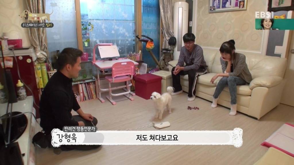 [세상에나쁜개는없다] 가족들에게 짖고 무는 강아지 릴리햏 | 인스티즈