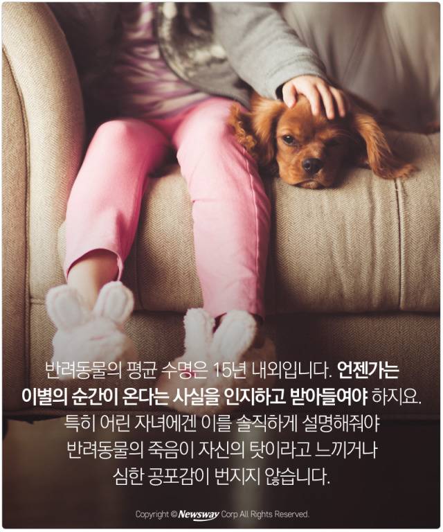 처음 반려동물 만났을때 너무 좋고 예뻐서 전혀 생각하지 못하는 것.jpg | 인스티즈