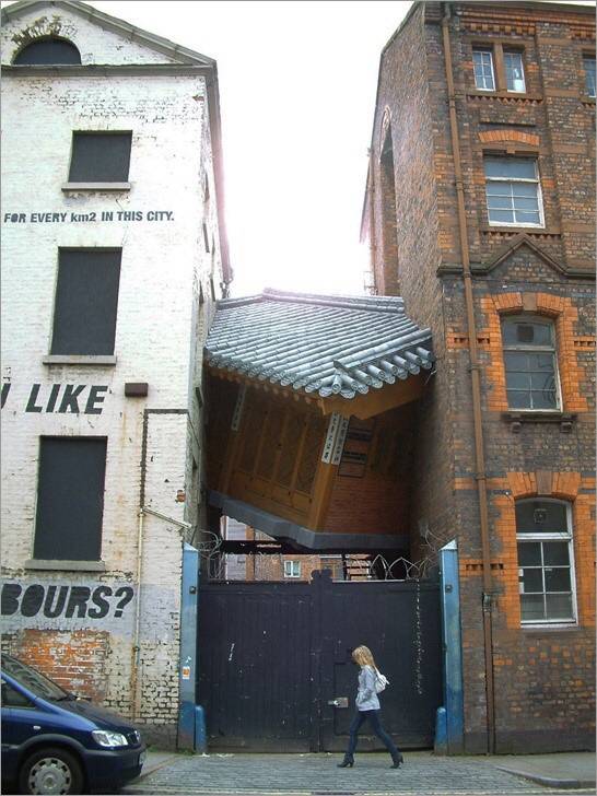 우리나라에서 대한항공/아시아나 무료 항공권 혜택 받는 유명인사들.jpg | 인스티즈