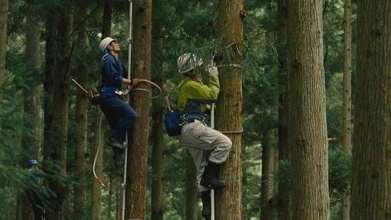 ＜일본 영화＞ 홍보 전단지의 미녀에 반해 산림관리 연수에 지원하게 되는데..jpg | 인스티즈